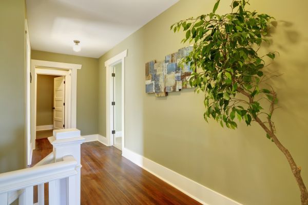 Maple Floor Staining